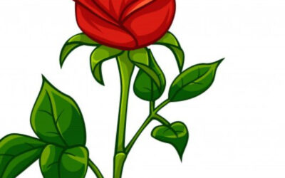 SUPER RIFA DE SANT JORDI´25